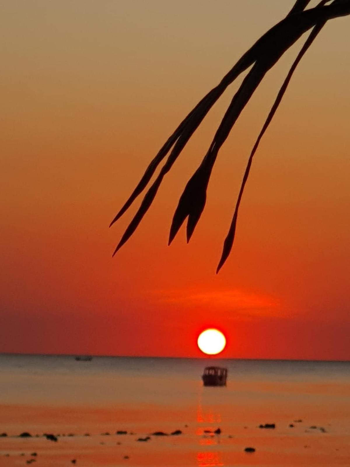 Sunset Moyo Bungalows Moyo Island Экстерьер фото